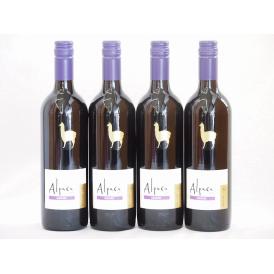 4本セット(チリ赤ワイン アルパカカルメネール) 750ml×4本
