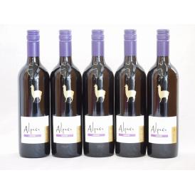 5本セット(チリ赤ワイン アルパカカルメネール) 750ml×5本