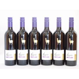 6本セット(チリ赤ワイン アルパカカルメネール) 750ml×6本