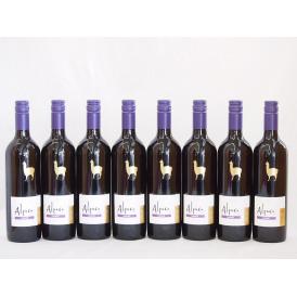 8本セット(チリ赤ワイン アルパカカルメネール) 750ml×8本