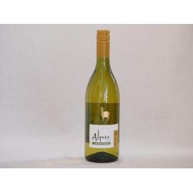 チリ白ワイン アルパカシャルドネ・セミヨン(チリ) 750ml×1本