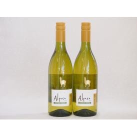 2本セット(チリ白ワイン アルパカシャルドネ・セミヨン(チリ)) 750ml×2本