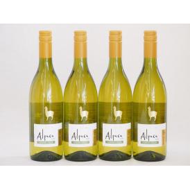 4本セット(チリ白ワイン アルパカシャルドネ・セミヨン(チリ)) 750ml×4本