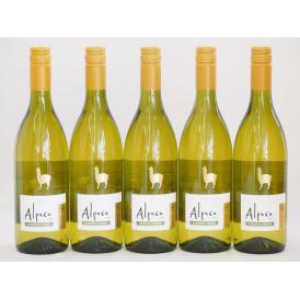 5本セット(チリ白ワイン アルパカシャルドネ・セミヨン(チリ)) 750ml×5本