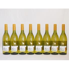 8本セット(チリ白ワイン アルパカシャルドネ・セミヨン(チリ)) 750ml×8本