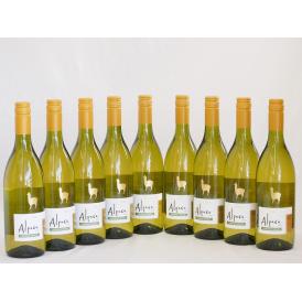 9本セット(チリ白ワイン アルパカシャルドネ・セミヨン(チリ)) 750ml×9本