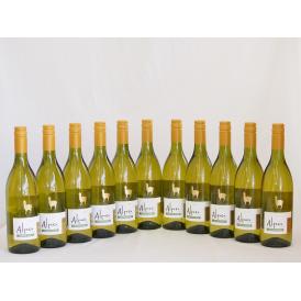 11本セット(チリ白ワイン アルパカシャルドネ・セミヨン(チリ)) 750ml×11本