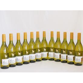 12本セット(チリ白ワイン アルパカシャルドネ・セミヨン(チリ)) 750ml×12本