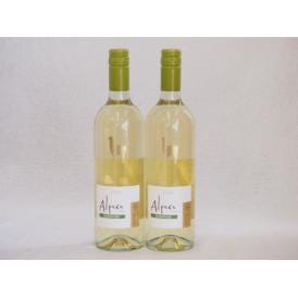 2本セット(チリ白ワイン アルパカソーヴィニヨン・ブラン(チリ)) 750ml×2本