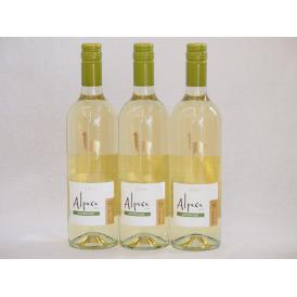 3本セット(チリ白ワイン アルパカソーヴィニヨン・ブラン(チリ)) 750ml×3本