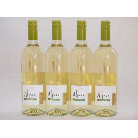 4本セット(チリ白ワイン アルパカソーヴィニヨン・ブラン(チリ)) 750ml×4本