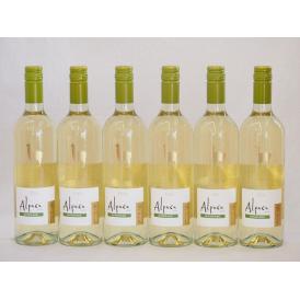 6本セット(チリ白ワイン アルパカソーヴィニヨン・ブラン(チリ)) 750ml×6本