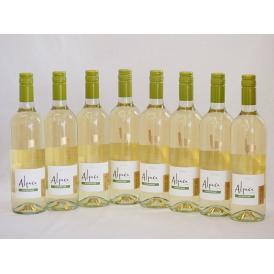 8本セット(チリ白ワイン アルパカソーヴィニヨン・ブラン(チリ)) 750ml×8本