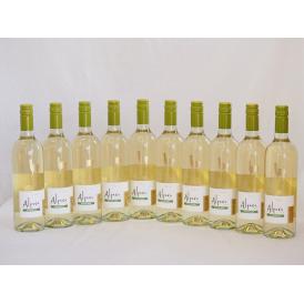 10本セット(チリ白ワイン アルパカソーヴィニヨン・ブラン(チリ)) 750ml×10本