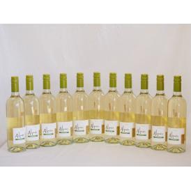 11本セット(チリ白ワイン アルパカソーヴィニヨン・ブラン(チリ)) 750ml×11本