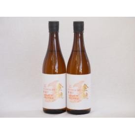 2本セット(愛知県日本酒 金鯱 寒造りしぼりたて生貯本醸造) 720ml×2本