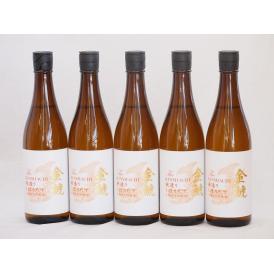 5本セット(愛知県日本酒 金鯱 寒造りしぼりたて生貯本醸造) 720ml×5本