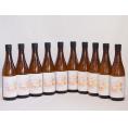 10本セット(愛知県日本酒 金鯱 寒造りしぼりたて生貯本醸造) 720ml×10本
