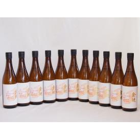 11本セット(愛知県日本酒 金鯱 寒造りしぼりたて生貯本醸造) 720ml×11本