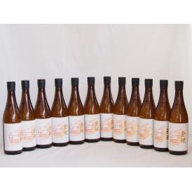 12本セット(愛知県日本酒 金鯱 寒造りしぼりたて生貯本醸造) 720ml×12本