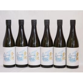 6本セット(愛知県日本酒 金鯱 寒造りしぼりたて生貯特別純米) 720ml×6本