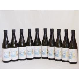 10本セット(愛知県日本酒 金鯱 寒造りしぼりたて生貯特別純米) 720ml×10本