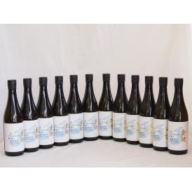 12本セット(愛知県日本酒 金鯱 寒造りしぼりたて生貯特別純米) 720ml×12本