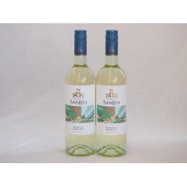 2本セット(イタリア白ワイン ボンゴ・サンレオ・ビアンコ) 750ml×2本