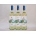 3本セット(イタリア白ワイン ボンゴ・サンレオ・ビアンコ) 750ml×3本