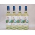 4本セット(イタリア白ワイン ボンゴ・サンレオ・ビアンコ) 750ml×4本
