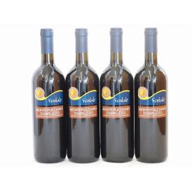 4本セット(イタリア赤ワイン モンテプルチアーノ ダブルッツオ) 750ml×4本