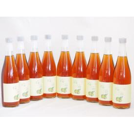 9本セット(梅酒文蔵18度(熊本県)) 720ml×9本