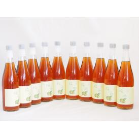 10本セット(梅酒文蔵18度(熊本県)) 720ml×10本