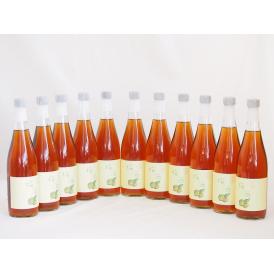 11本セット(梅酒文蔵18度(熊本県)) 720ml×11本