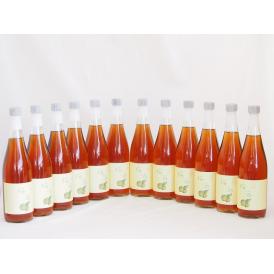 12本セット(梅酒文蔵18度(熊本県)) 720ml×12本