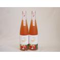 2本セット(知多半島の苺酒 金鯱(愛知県)) 500ml×2本