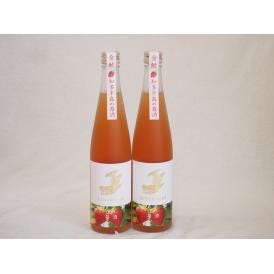2本セット(知多半島の苺酒 金鯱(愛知県)) 500ml×2本