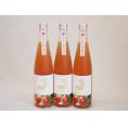 3本セット(知多半島の苺酒 金鯱(愛知県)) 500ml×3本