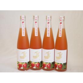 4本セット(知多半島の苺酒 金鯱(愛知県)) 500ml×4本