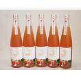 5本セット(知多半島の苺酒 金鯱(愛知県)) 500ml×5本