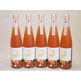 5本セット(知多半島の苺酒 金鯱(愛知県)) 500ml×5本