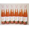 6本セット(知多半島の苺酒 金鯱(愛知県)) 500ml×6本