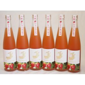 6本セット(知多半島の苺酒 金鯱(愛知県)) 500ml×6本