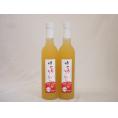 2本セット(国内産りんご使用 とろりんごリキュール奥の松(福島県)) 500ml×2本