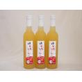 3本セット(国内産りんご使用 とろりんごリキュール奥の松(福島県)) 500ml×3本