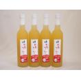 4本セット(国内産りんご使用 とろりんごリキュール奥の松(福島県)) 500ml×4本
