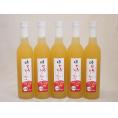 5本セット(国内産りんご使用 とろりんごリキュール奥の松(福島県)) 500ml×5本
