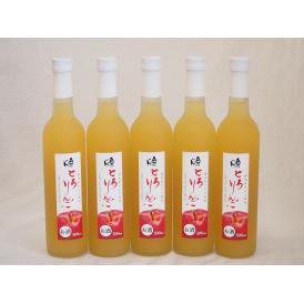 5本セット(国内産りんご使用 とろりんごリキュール奥の松(福島県)) 500ml×5本