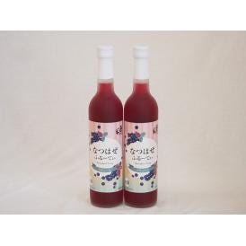 2本セット(和製ブルーベリー なつはぜふるーてぃリキュール奥の松(福島県)) 500ml×2本