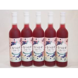 5本セット(和製ブルーベリー なつはぜふるーてぃリキュール奥の松(福島県)) 500ml×5本